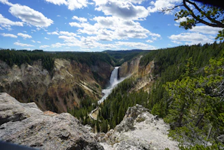waterfalls in the middle of green trees under blue sky and white clouds during daytime