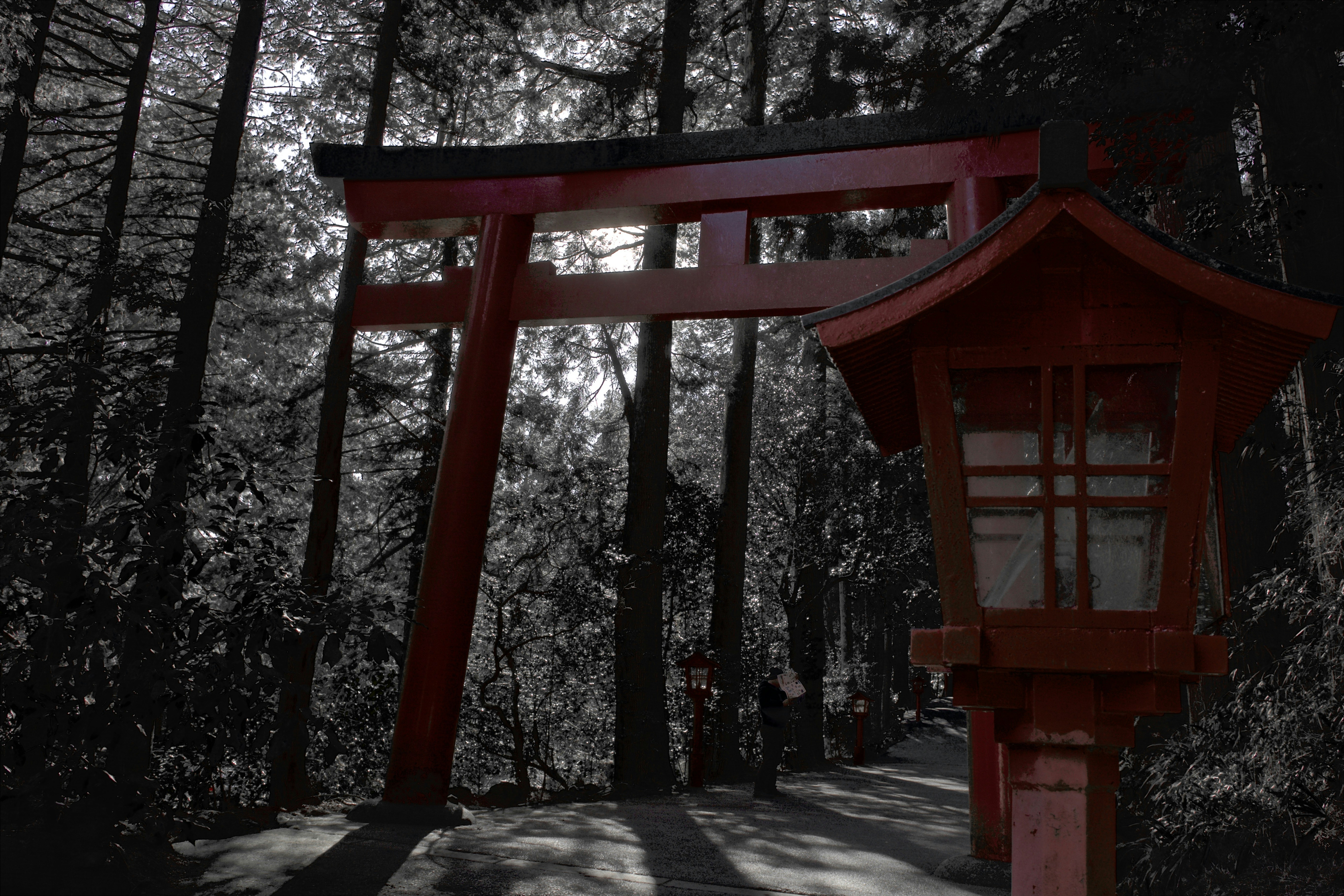 Cinematic dark atmospheric Japanese garden scene with deep shadows, dim warm lantern light, moody twilight environment with dark trees silhouetted