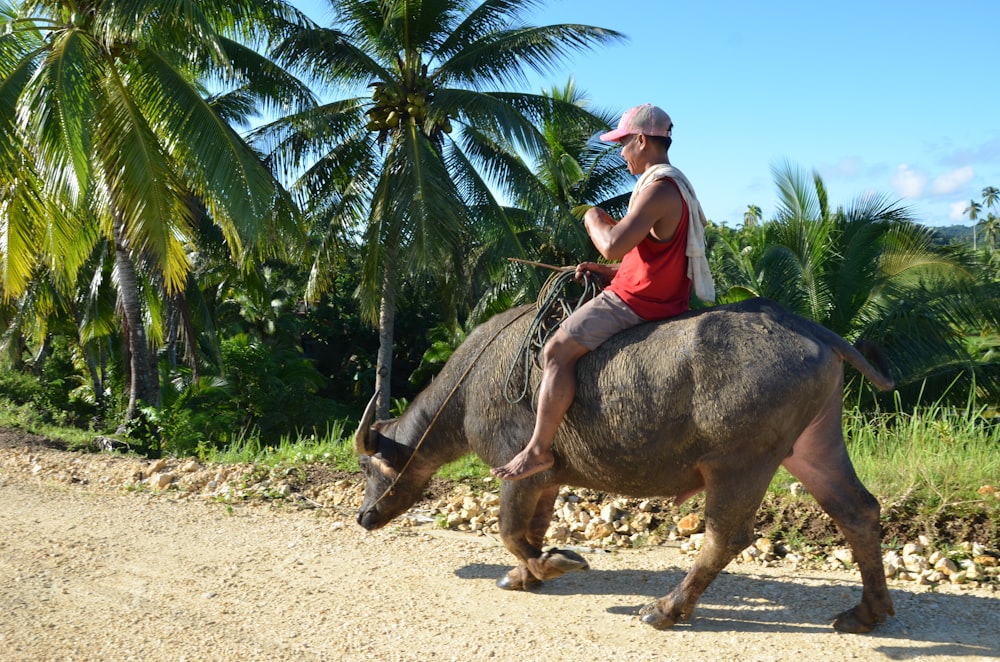 man riding on black and brown animal statue during daytime