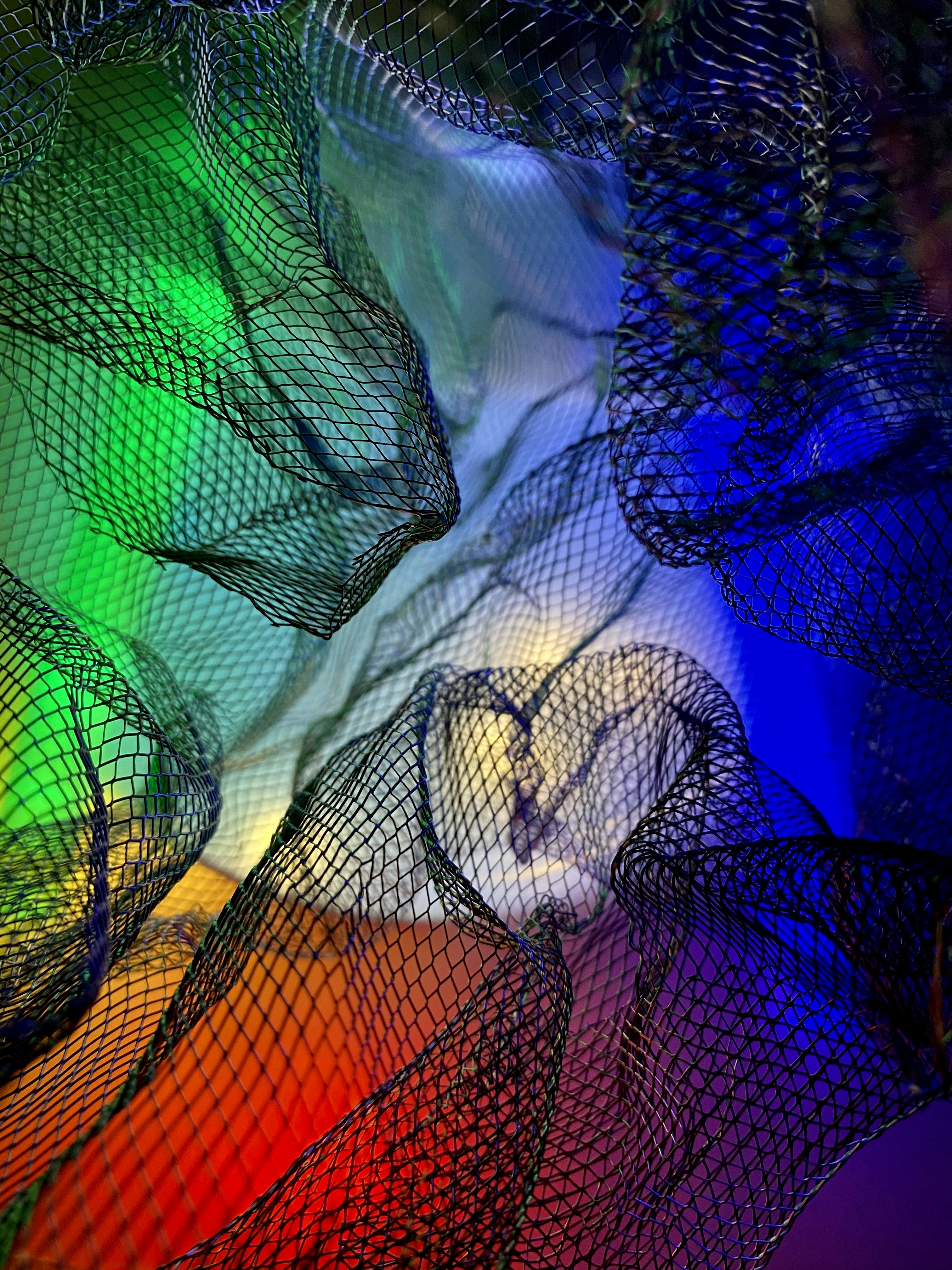 The Metabolism Myth: What Really Happens to Weight After 50