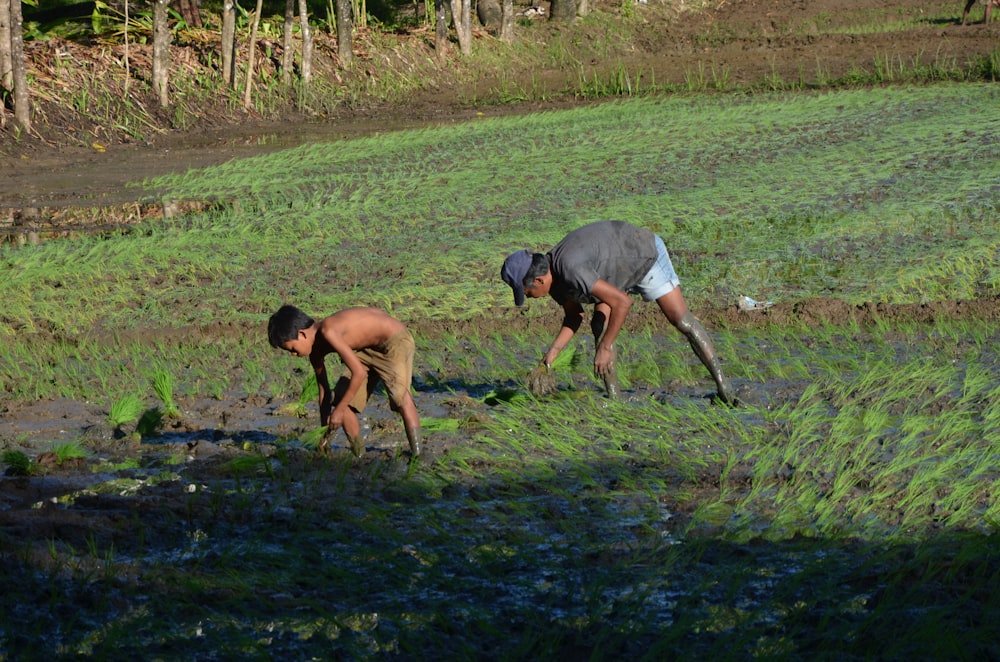 homem de camiseta azul e shorts cinza em pé no campo de grama verde durante o dia