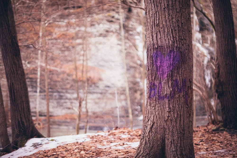 brown tree trunk during daytime