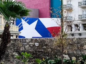 A large mural depicting the Texas flag is painted on the side of a building. The foreground features a stone wall, palm trees, and various other greenery. There are buildings with balconies visible, displaying ornate railings and some bare trees.