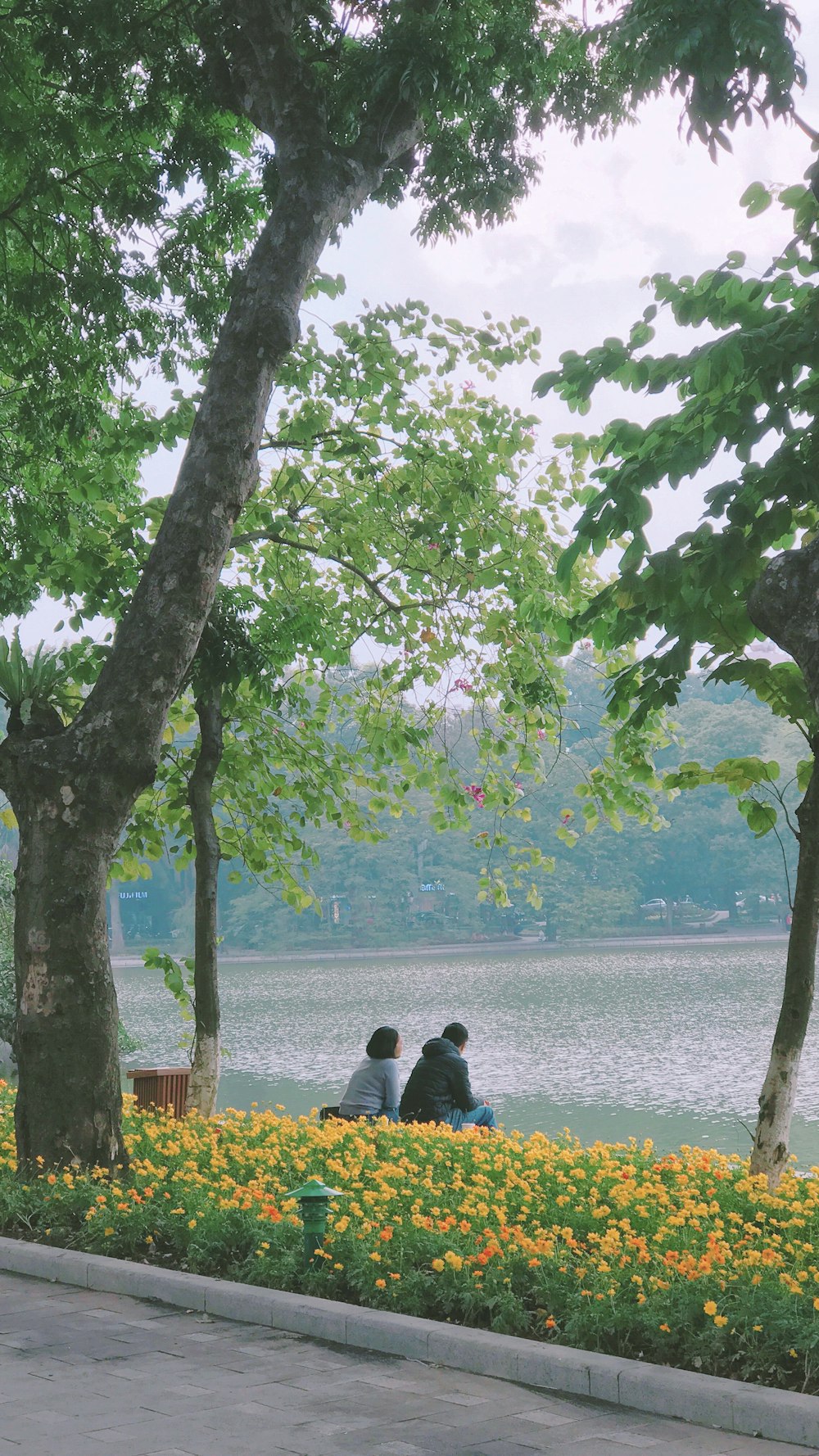 people sitting on bench near body of water during daytime