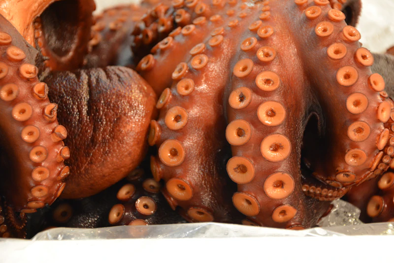 Tsukiji Outer Market: Sushi Breakfast & Fresh Seafood Guide