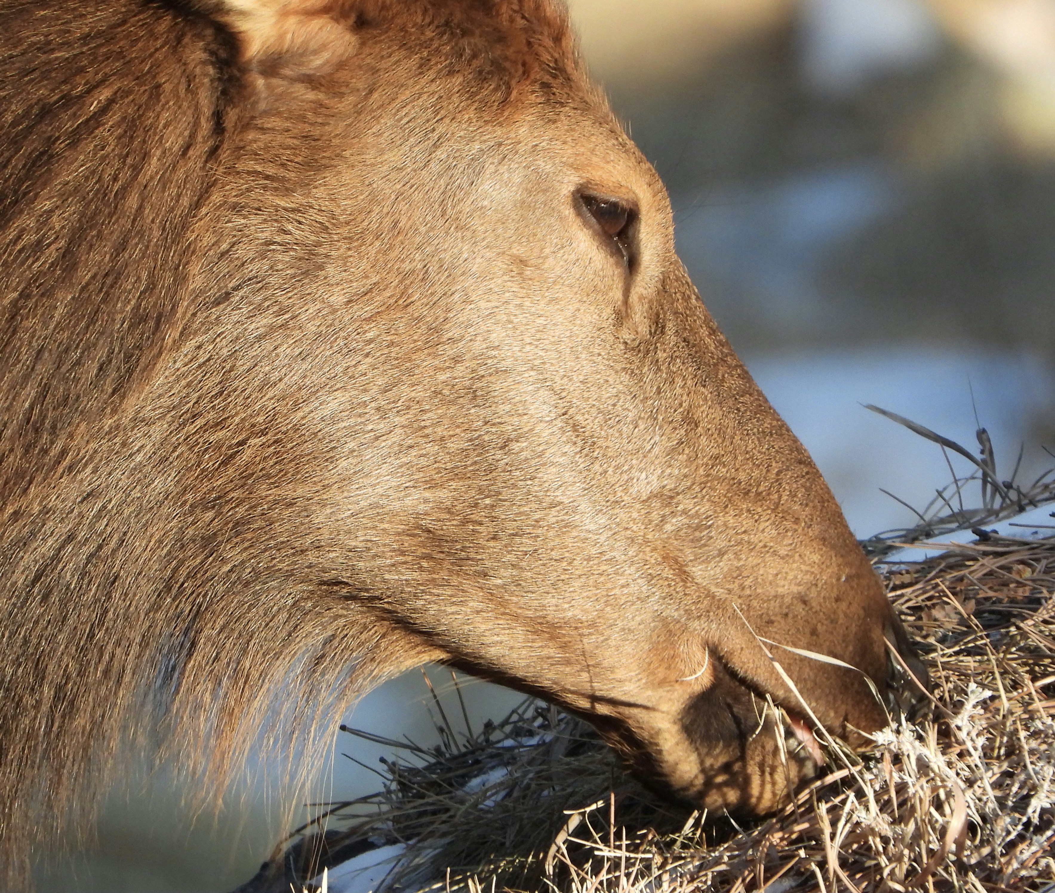 Photo by evergreene24