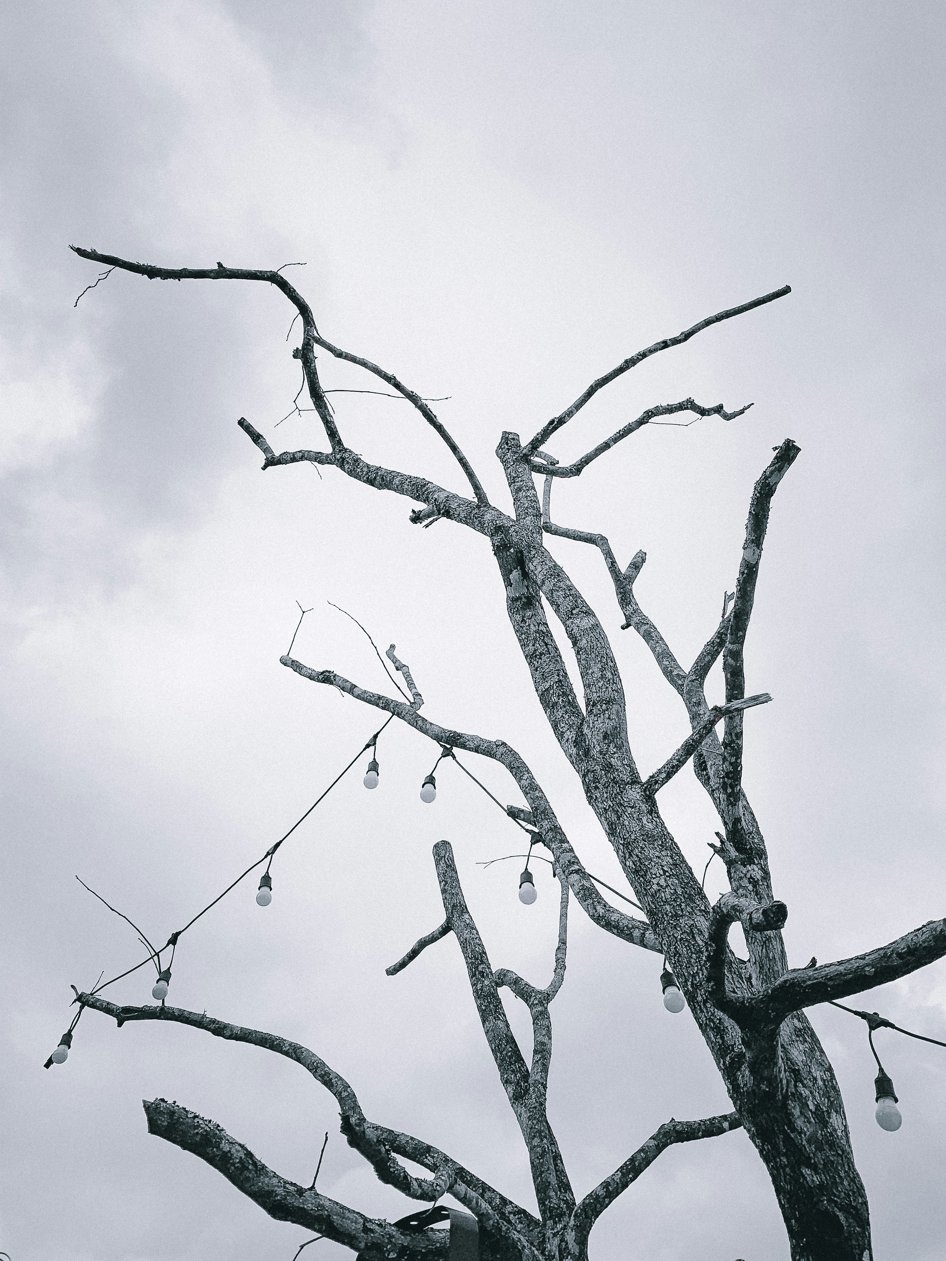 Photo by heyphotoshoot