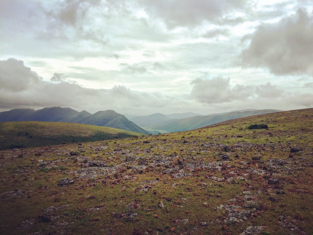 a grassy field with mountains in the background