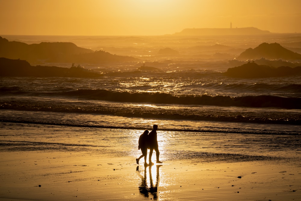 silhouette of 2 people walking on beach during sunset