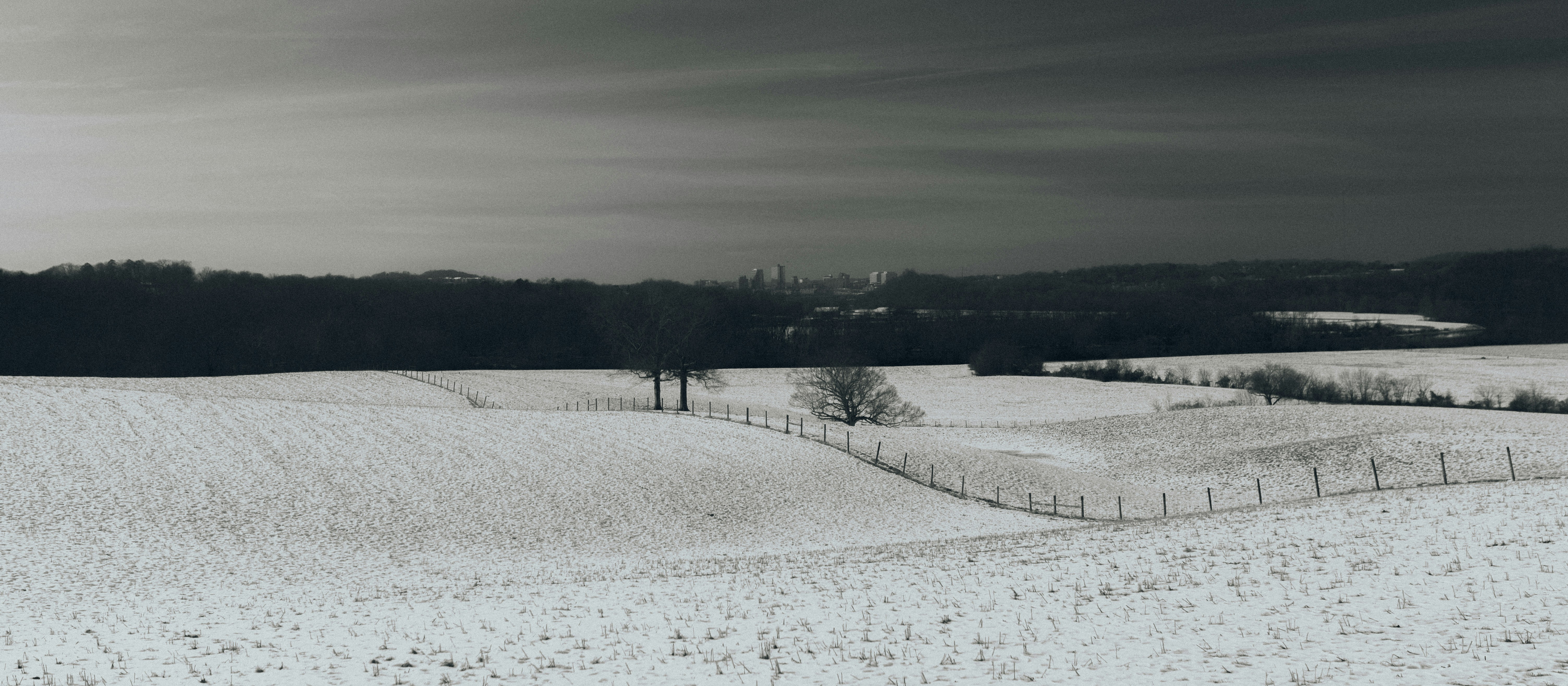 Photo by tallentcreations