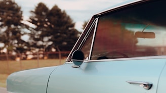 A vintage car with a light blue exterior is parked, showcasing its side mirror and part of the front door. The background features a blurred view of several tall, dark green trees and a grassy area, suggesting a calm, outdoor environment.