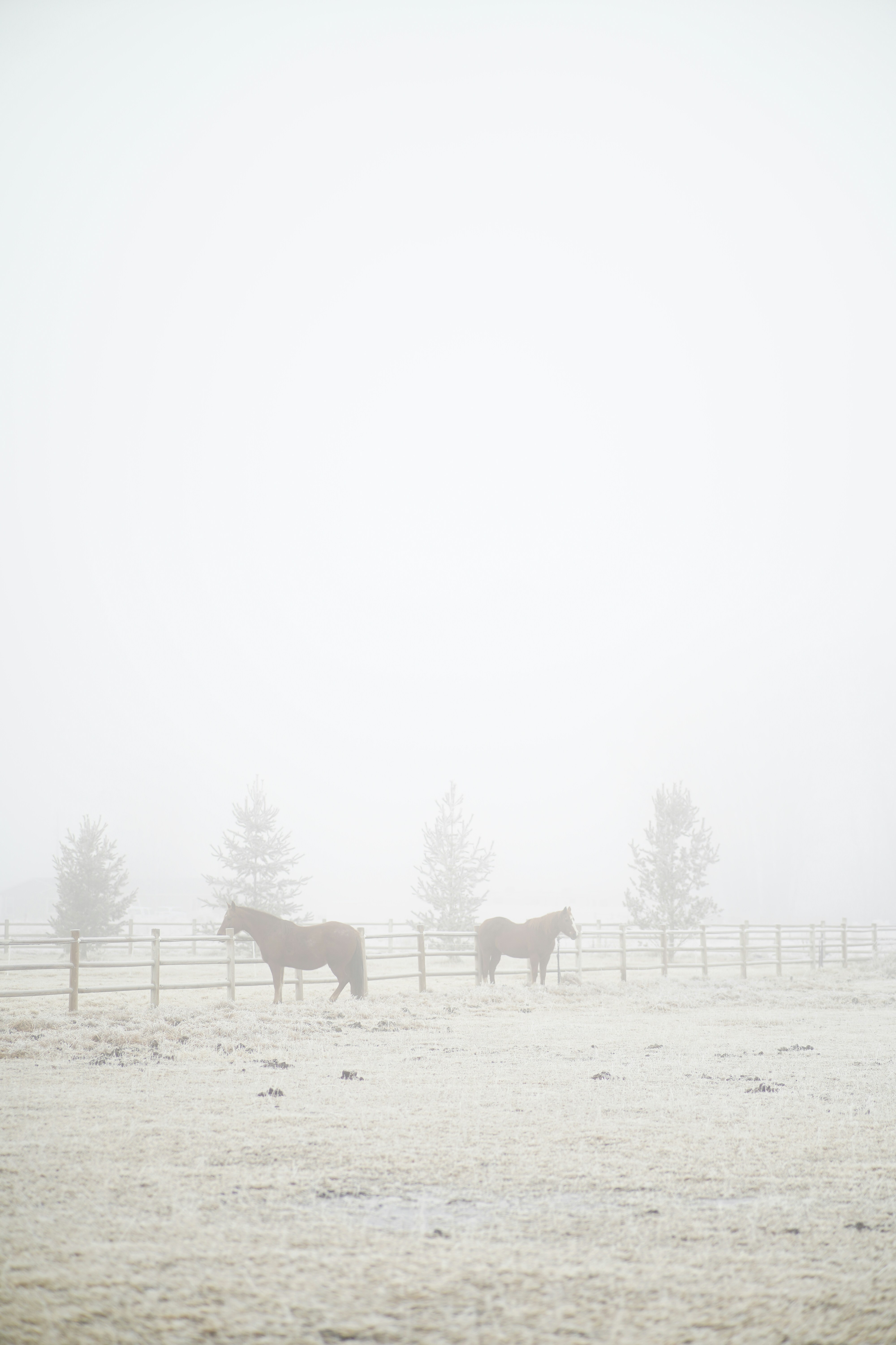 Photo by courtneysmith