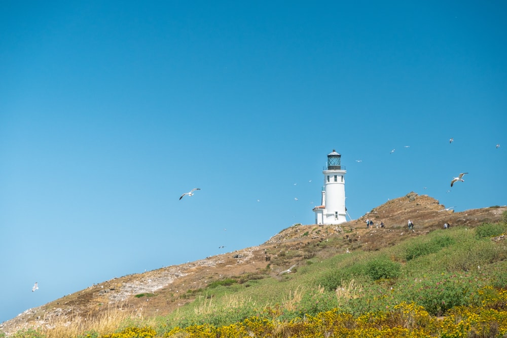 white lighthouse on green grass field under blue sky during daytime