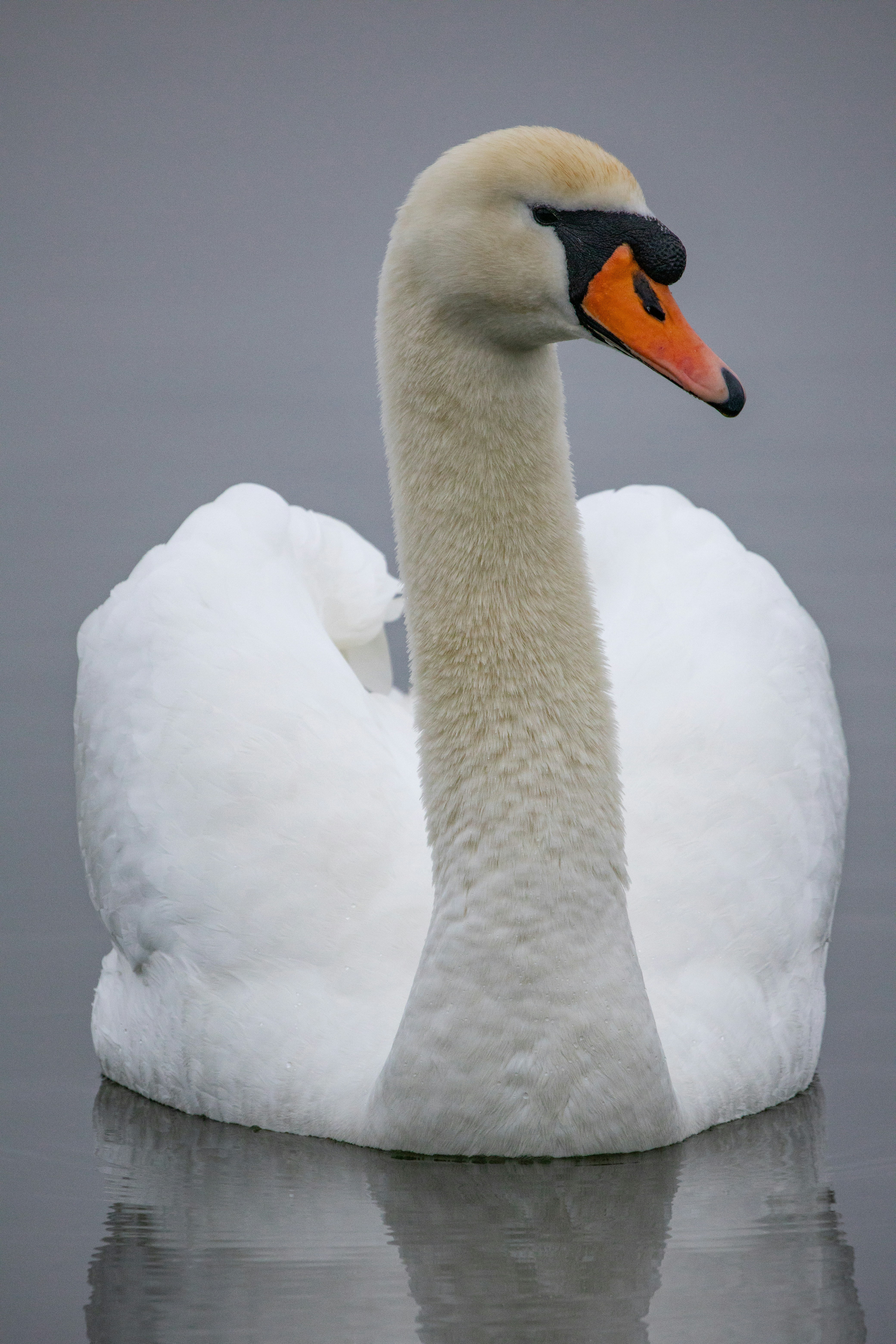 Photo by grievek1610begur