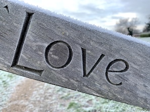 The word 'Love' is carved into a wooden surface, which is covered with a light layer of frost. The background features a blurred, frosty landscape with fields and leafless trees under a cloudy sky.