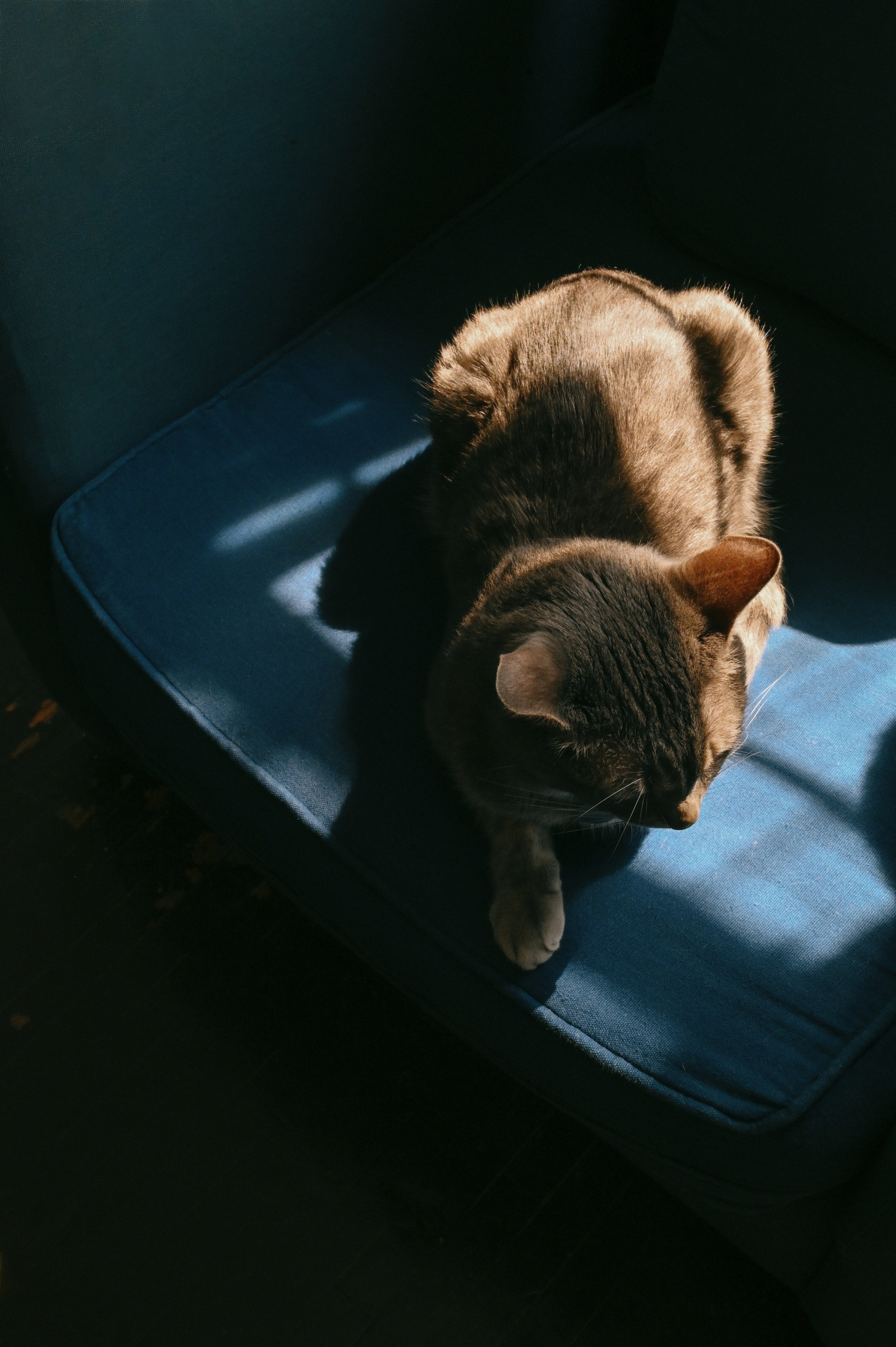 Minimal Demands (image credits: unsplash)