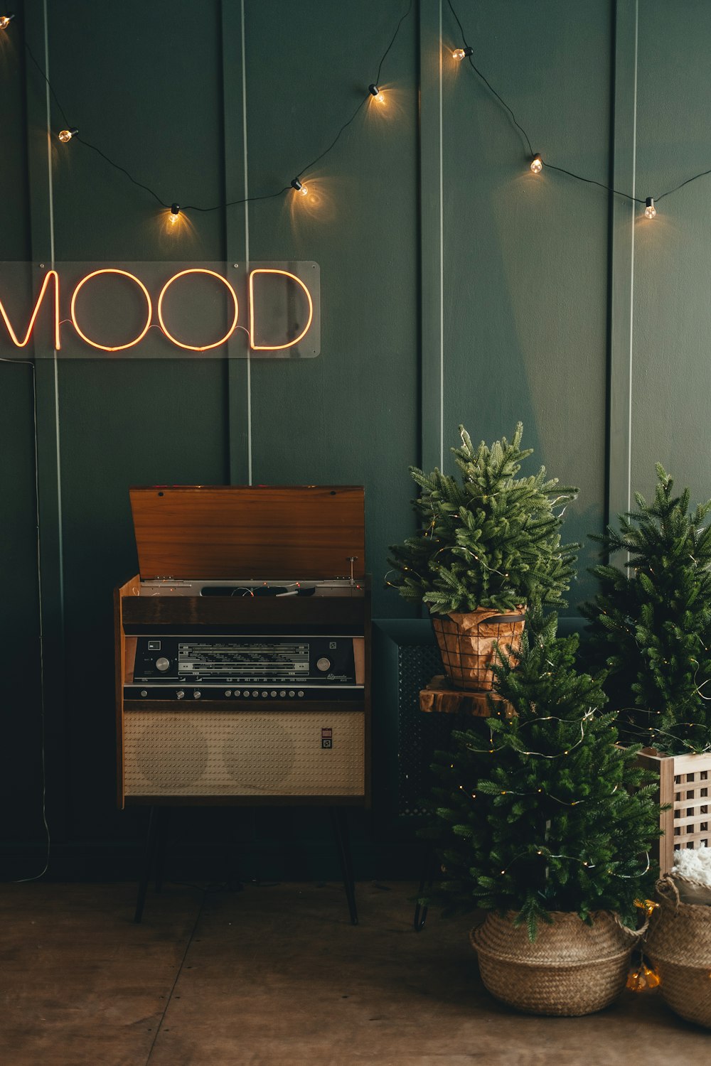 brown wooden shelf with green plant