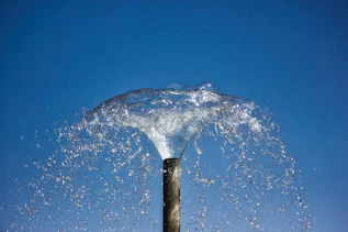 water splash on brown wooden stick