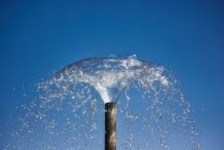 water splash on brown wooden stick