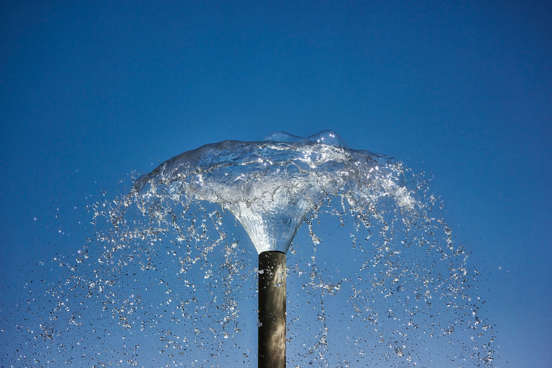 water splash on brown wooden stick