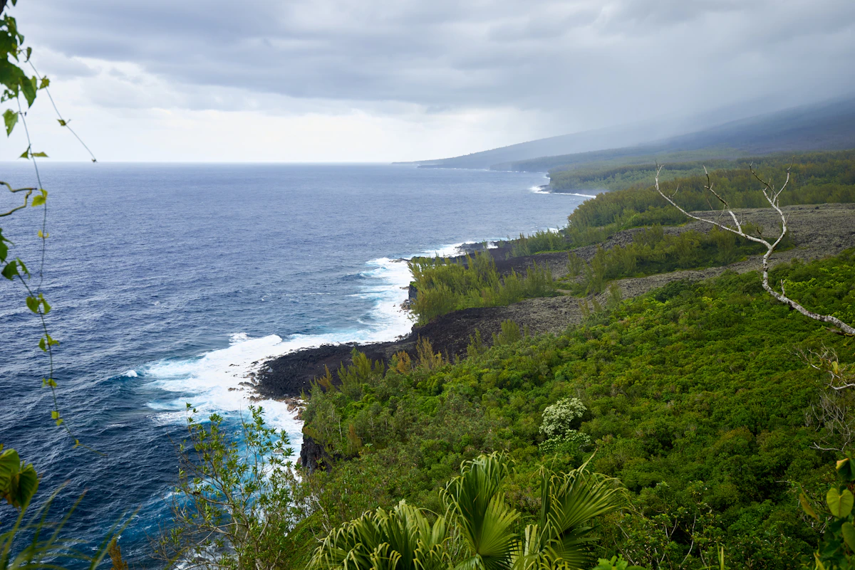Côte du Sud Sauvage à La Réunion, ancienne coulée de lave et végétation tropicale en bord d'océan