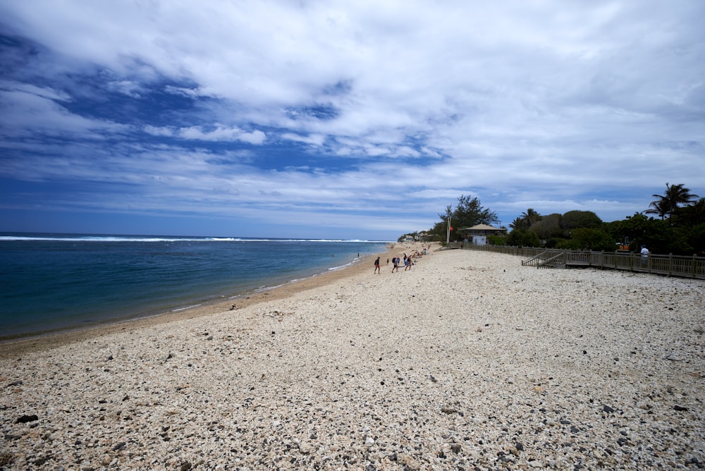 people on beach during daytime