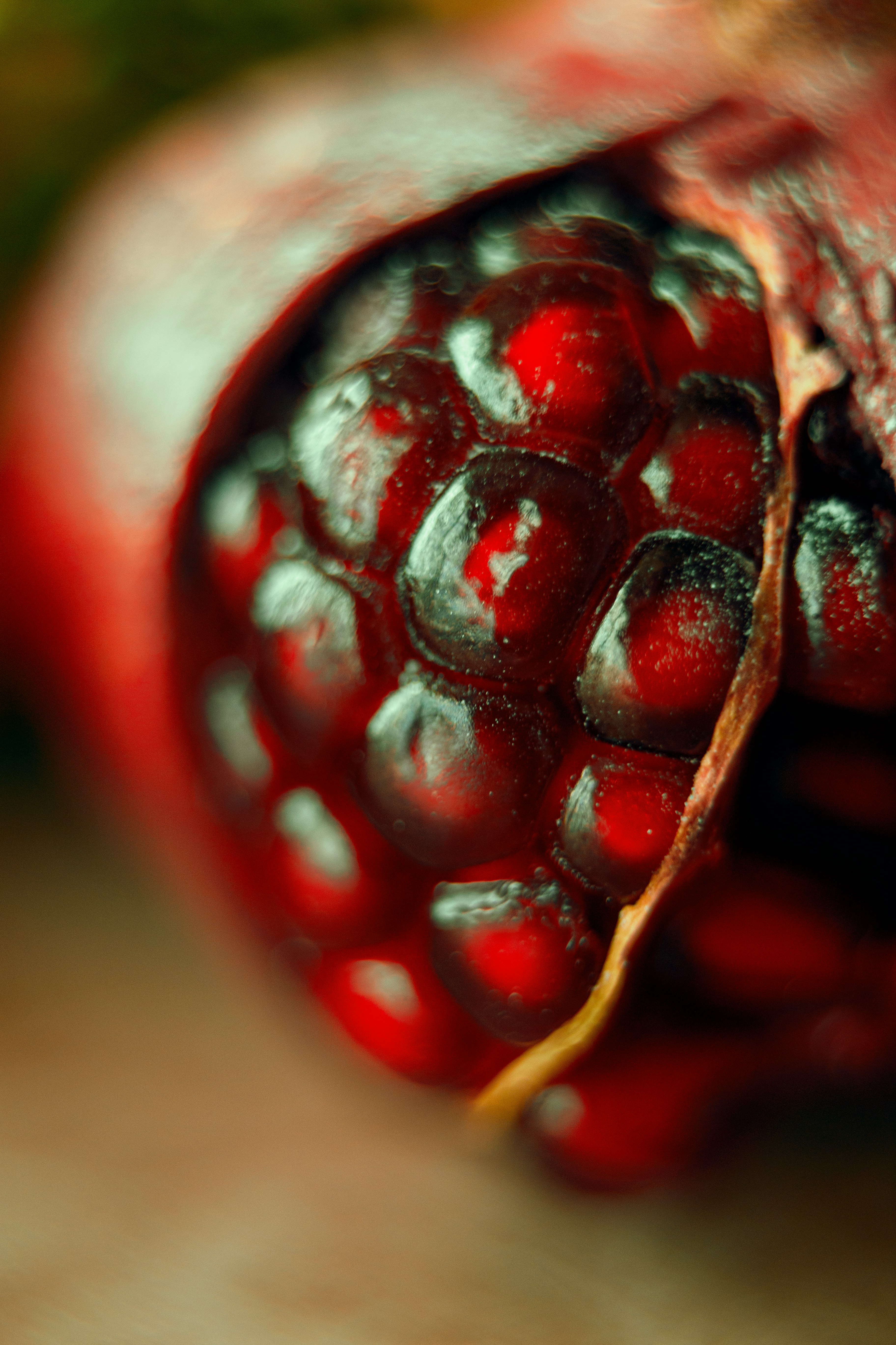 red round fruits in close up photography