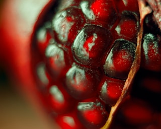 red round fruits in close up photography by Yana Gorbunova (@yanutkaa1)