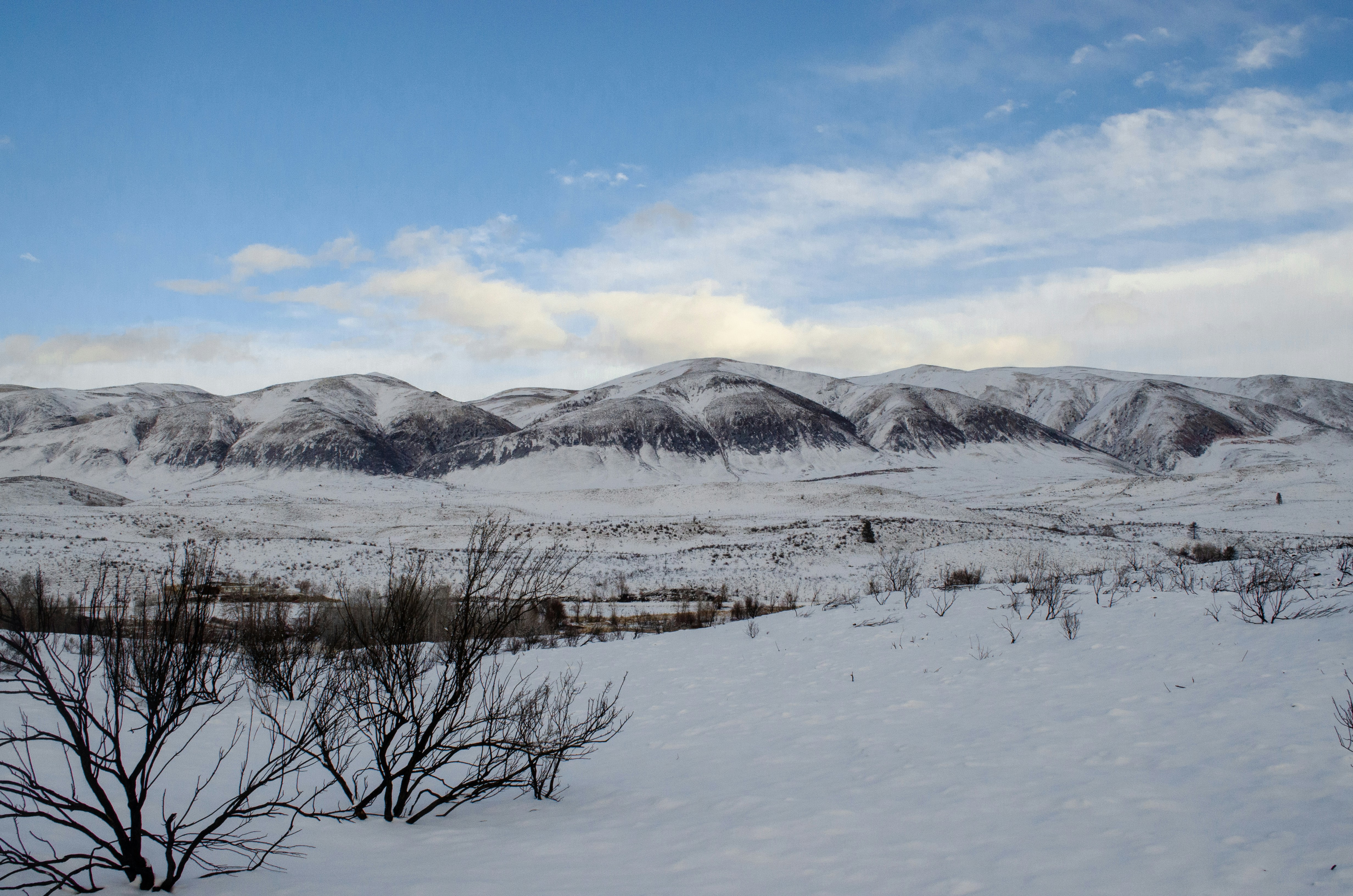 Photo by consciouscreations