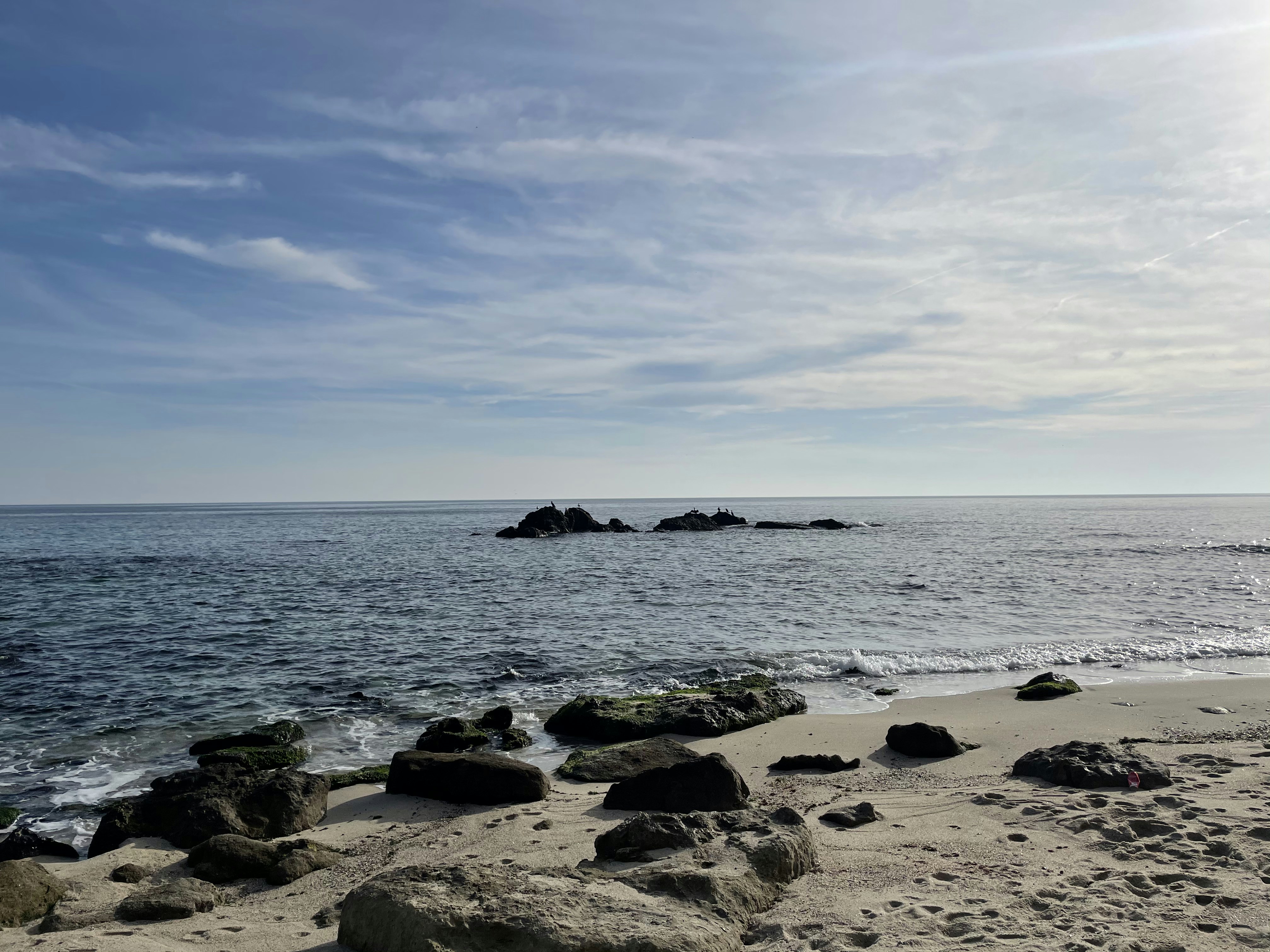 Photo by reallusioned