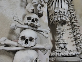 Skulls and bones are intricately stacked and arranged, forming a part of an ornate interior decoration. The arrangement creates a macabre yet visually captivating structure reminiscent of an ossuary. The background features a stone wall, enhancing the eerie atmosphere.