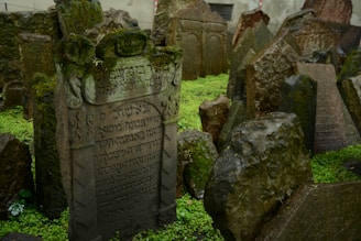 A serene view of gently rolling grassy slopes bordered by tall, mature trees at Adath Jeshurun Cemetery.