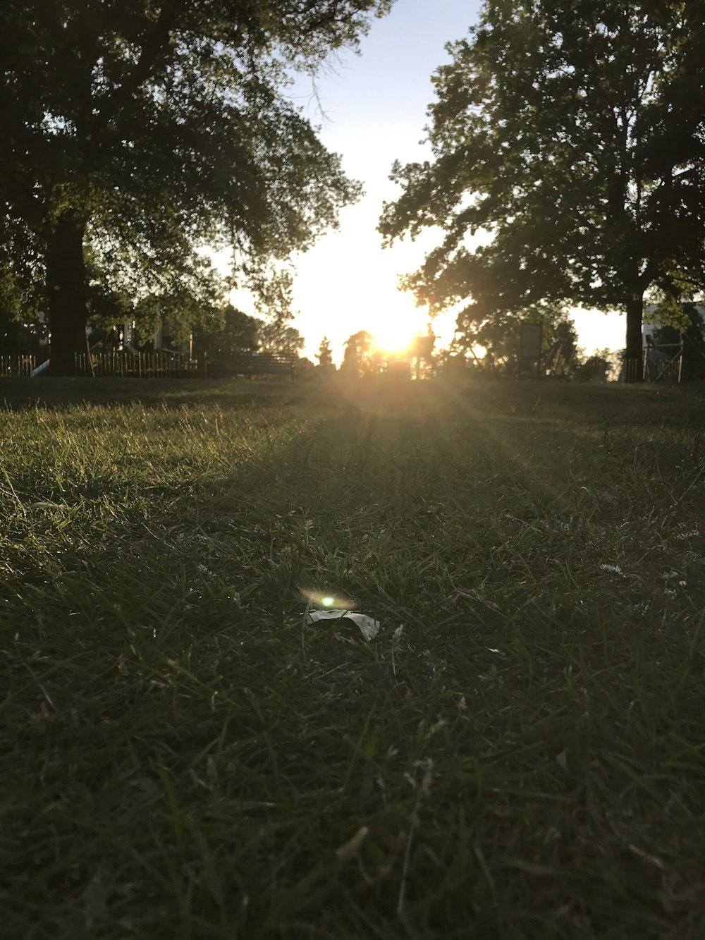 green grass field during daytime