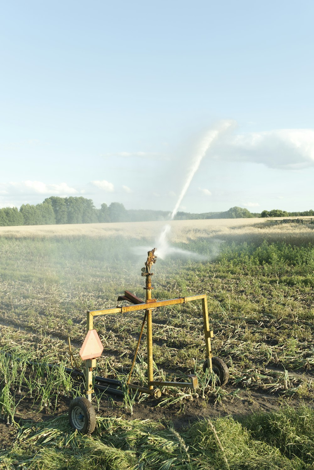 Croix en bois brun sur champ d’herbe verte pendant la journée