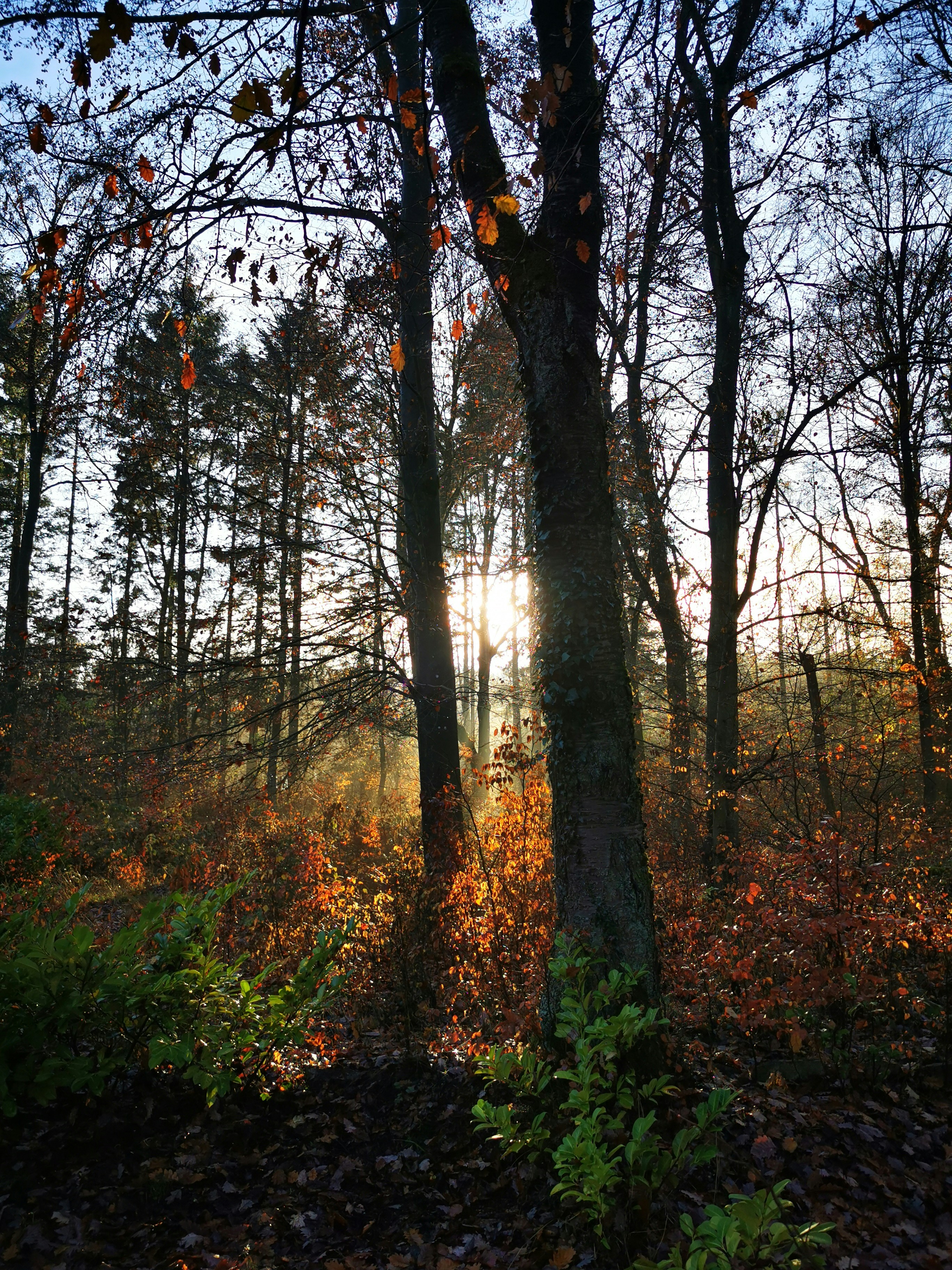 Photo by conniwenningsimages