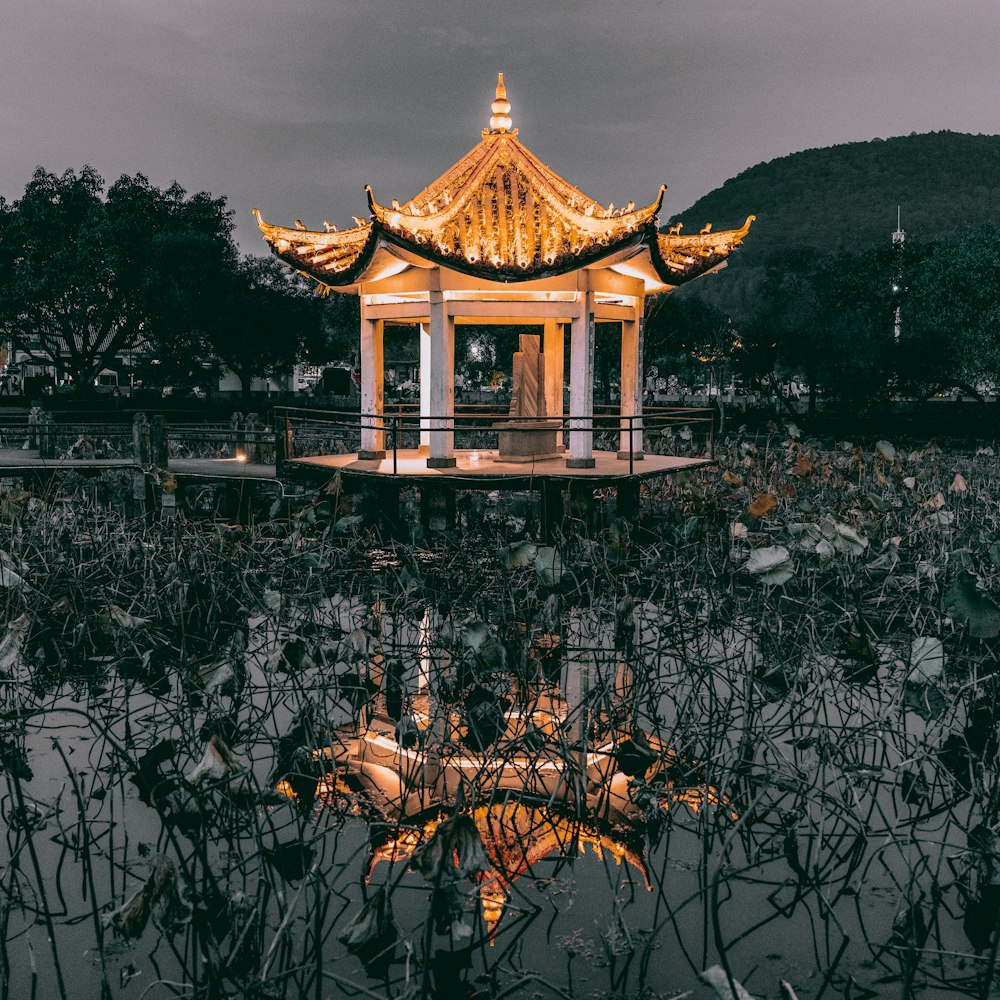 brown and white temple surrounded by green trees during daytime