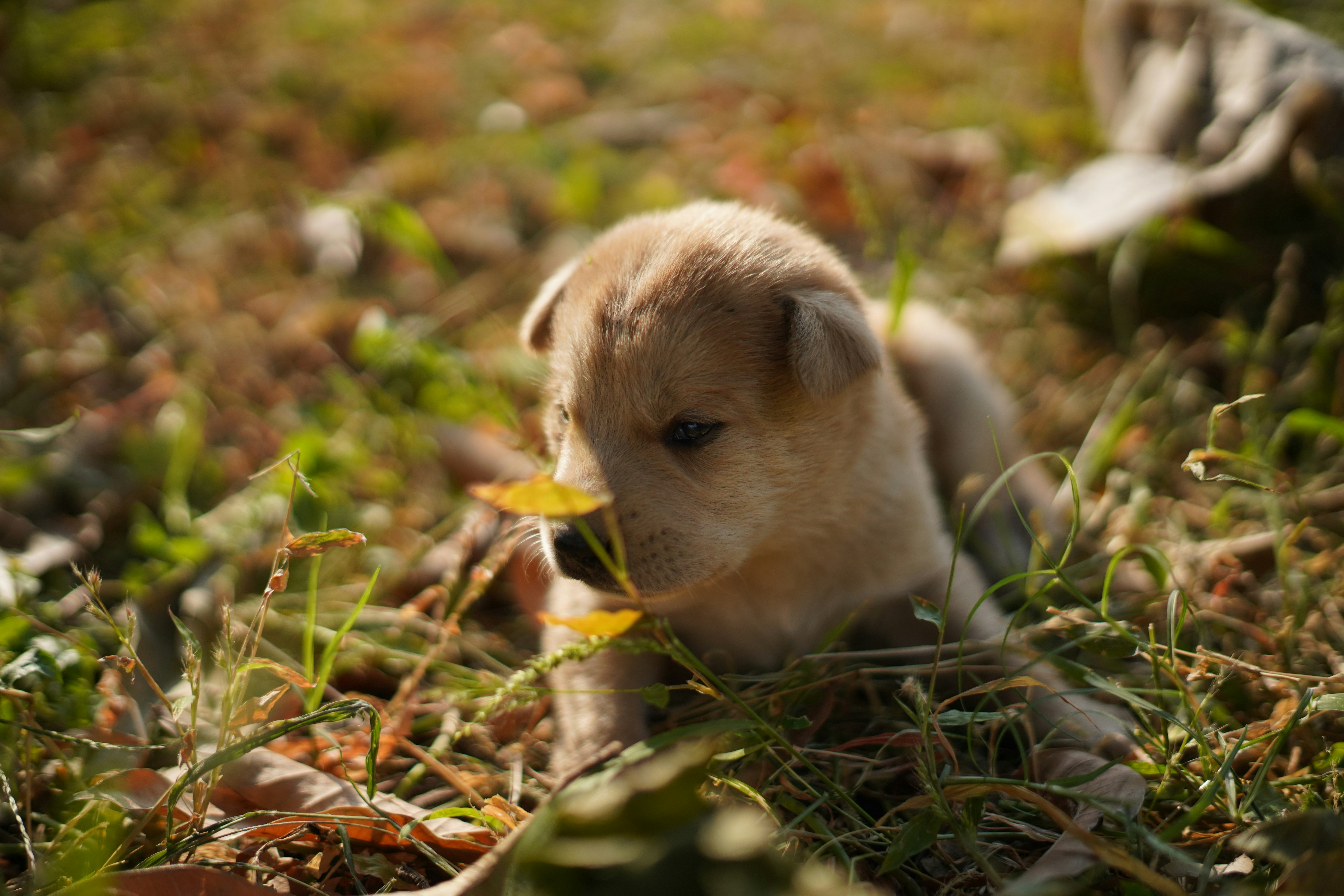 Photo by aayushrawat