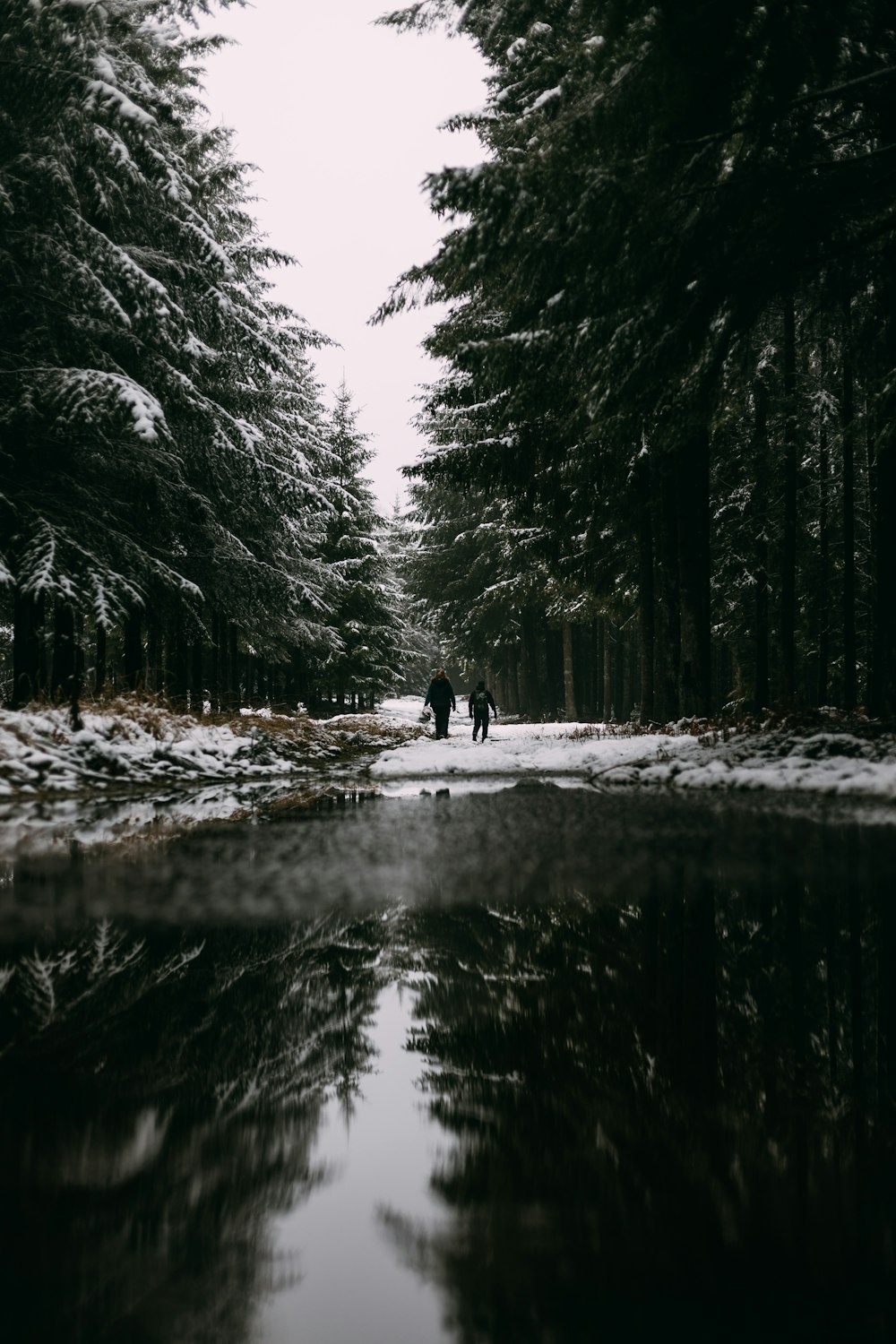 Person in schwarzer Jacke, die tagsüber auf schneebedecktem Boden in der Nähe des Flusses geht