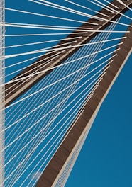 A sleek cable-stayed bridge spanning a wide river under a clear blue sky.