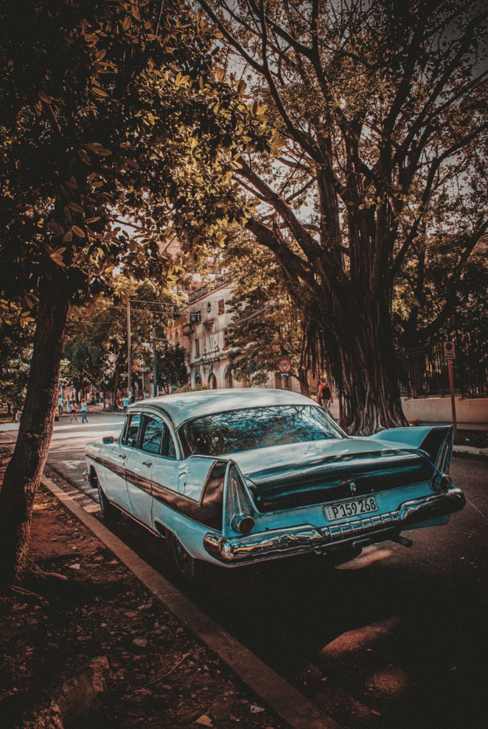 blue sedan parked beside tree during daytime