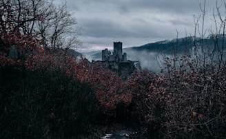 An ancient, fog-covered castle surrounded by twisted trees under a dark green sky.