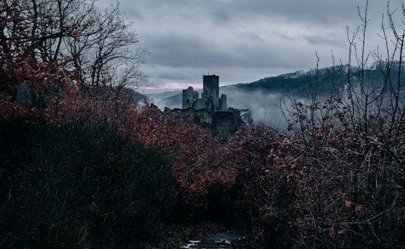 An ancient, fog-covered castle surrounded by twisted trees under a dark green sky.