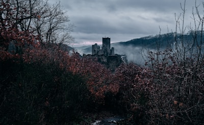 A moody, shadowy book cover featuring a gothic castle and a lone figure in the mist.