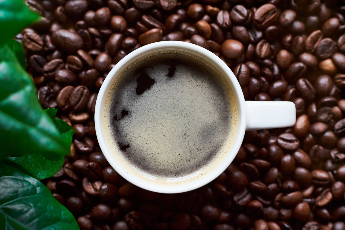 Brewed coffee with crema in a bed of roasted beans and coffee leaves