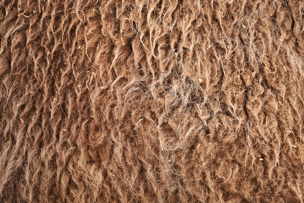 brown and white fur textile