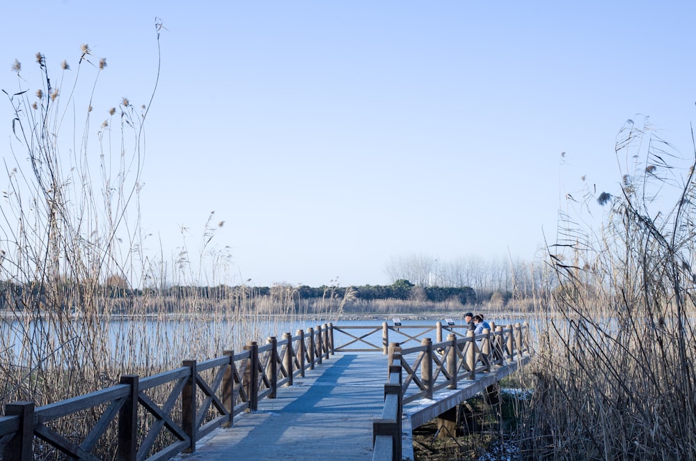 brown wooden dock on lake during daytime