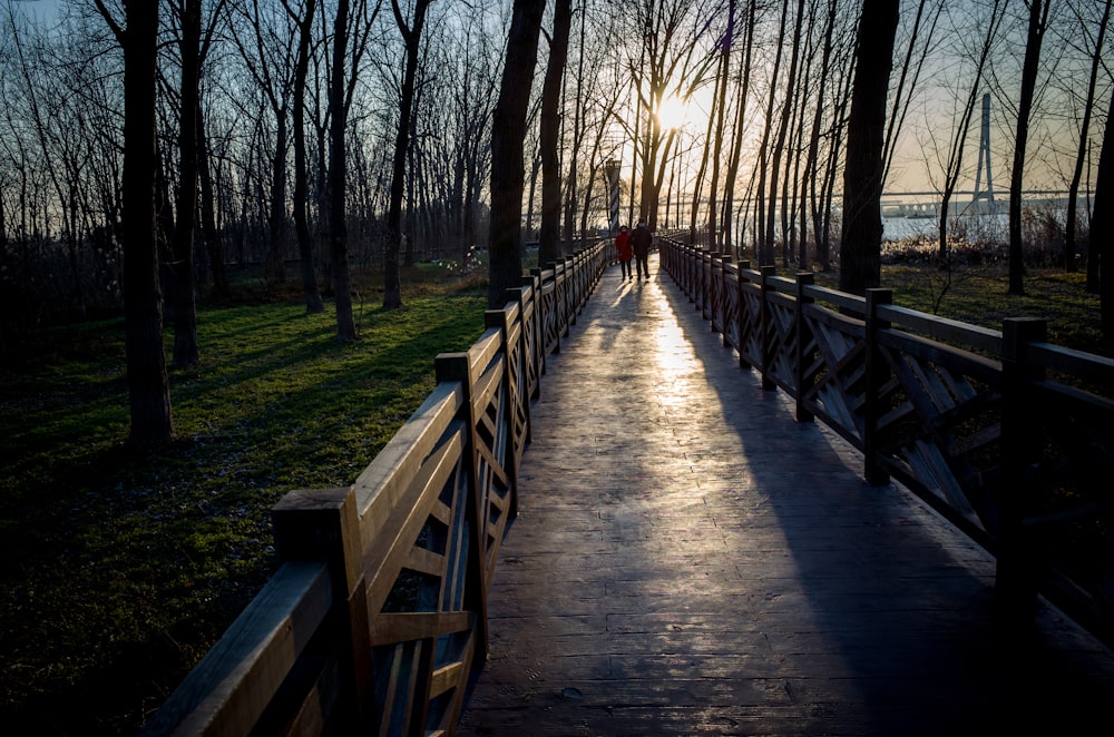 brown wooden bridge in between trees during daytime