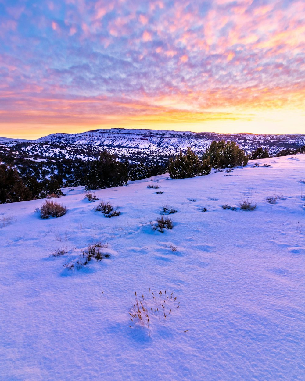 snow covered field during sunset