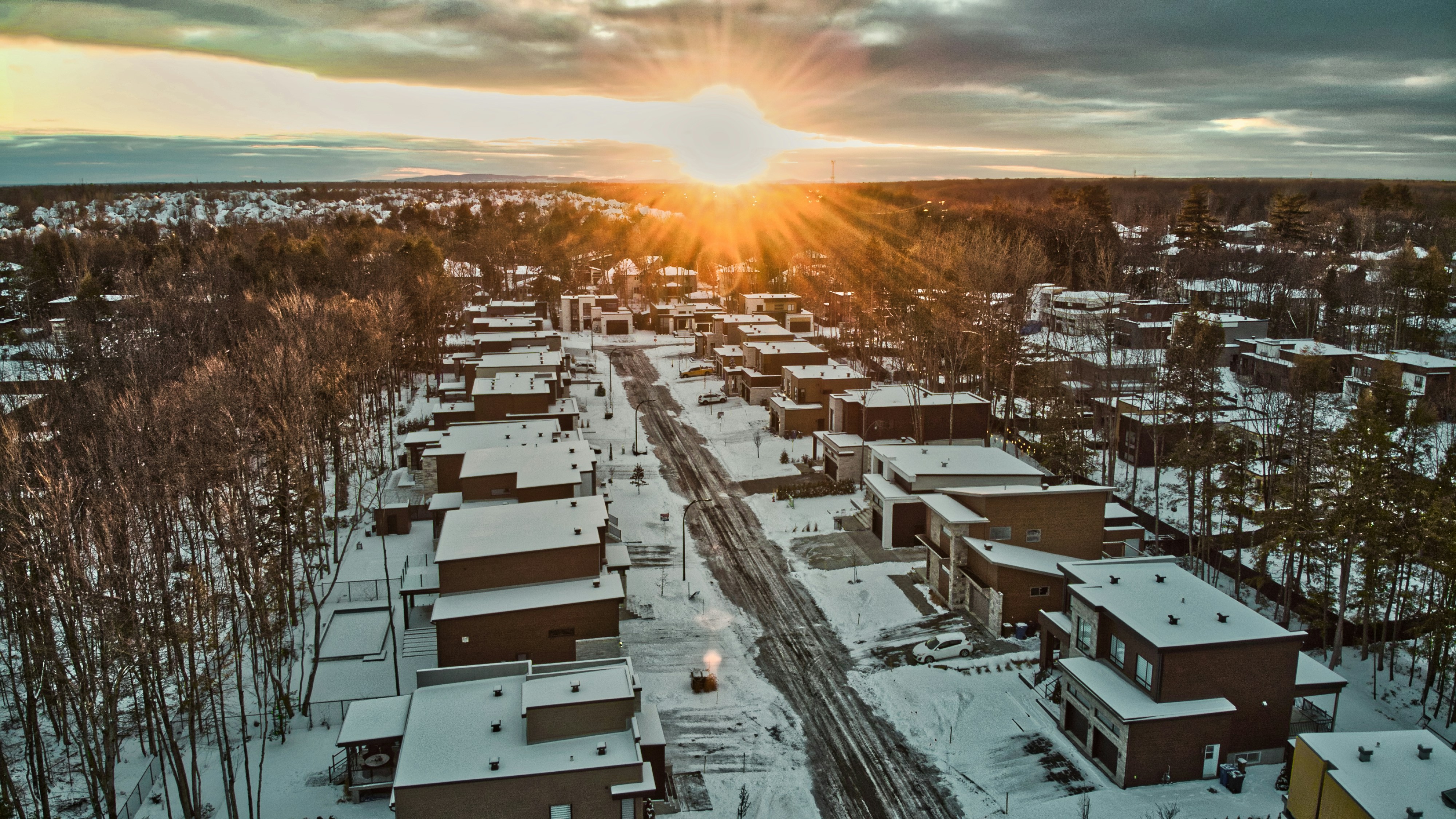 white and black houses near trees during daytime