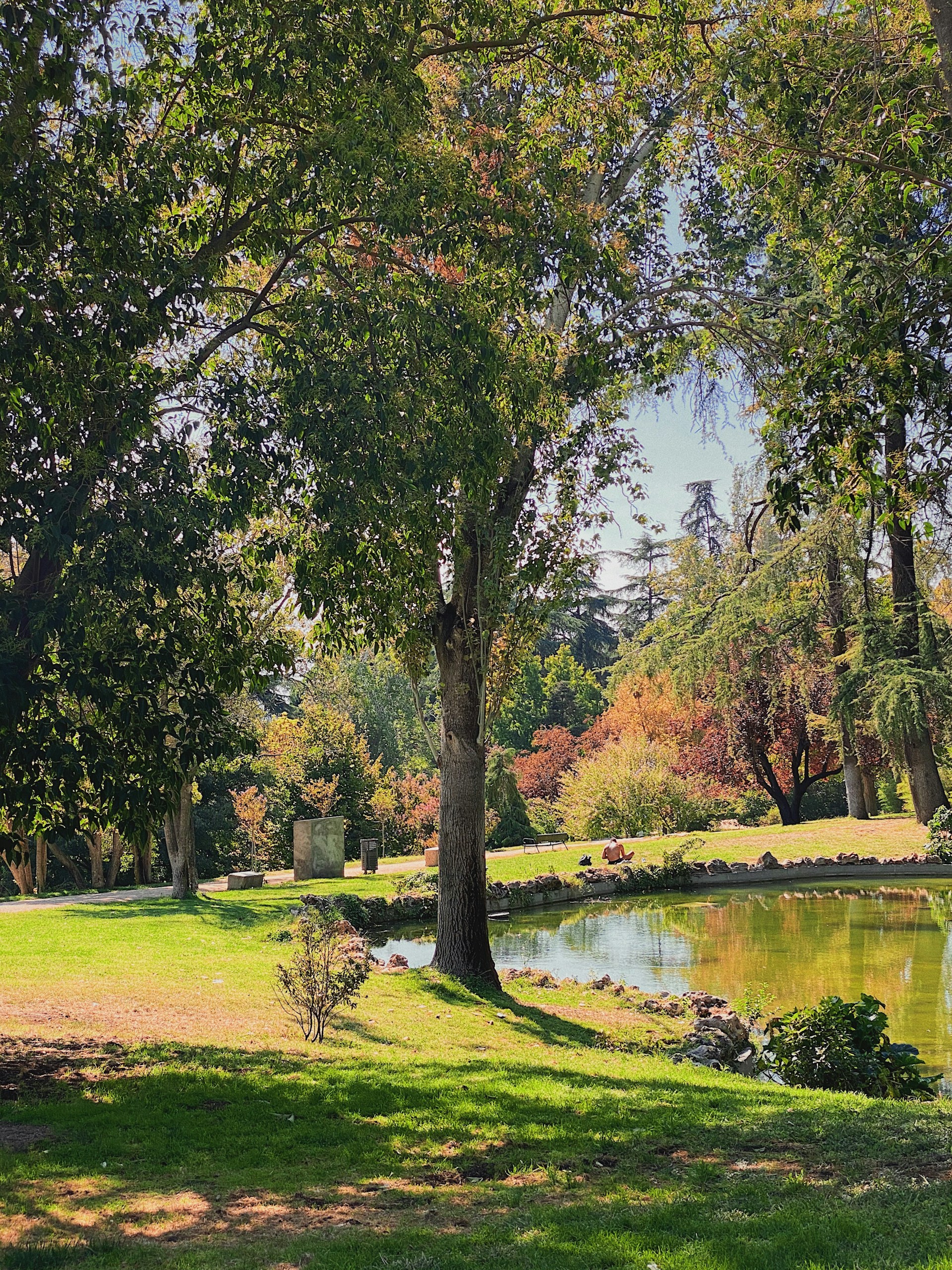 green grass field near lake during daytime
